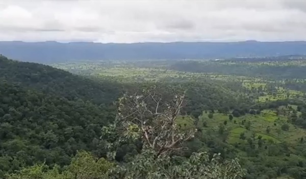 naidunia_image